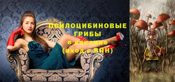 прущие грибы Верхнеуральск