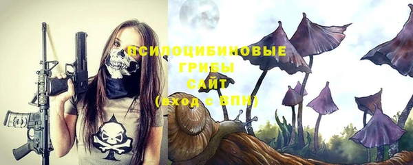каннабис Верея